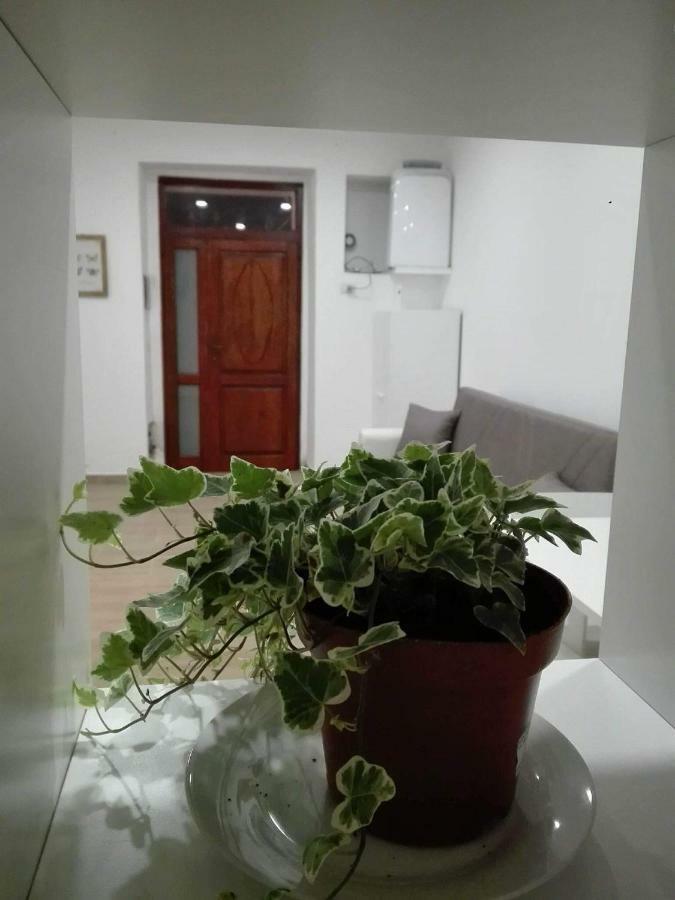 Al Centro Di Cagliari Apartment Luaran gambar